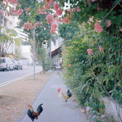 森迪公主婚纱秀